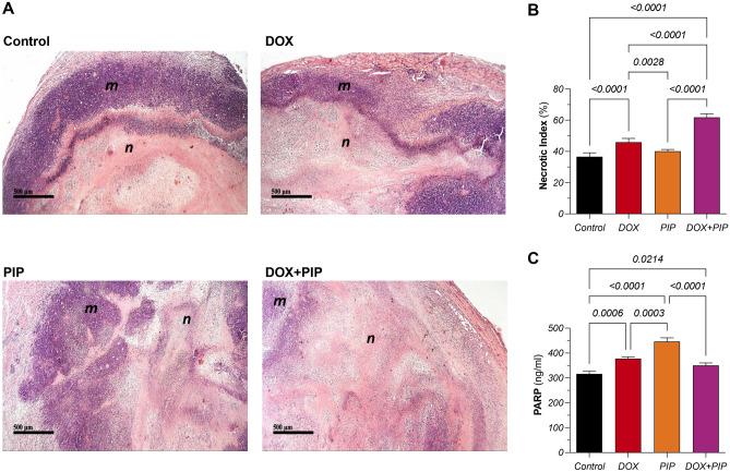 https://cdn.ncbi.nlm.nih.gov/pmc/blobs/1aff/11303729/8a28dd129a7f/41598_2024_65508_Fig6_HTML.jpg