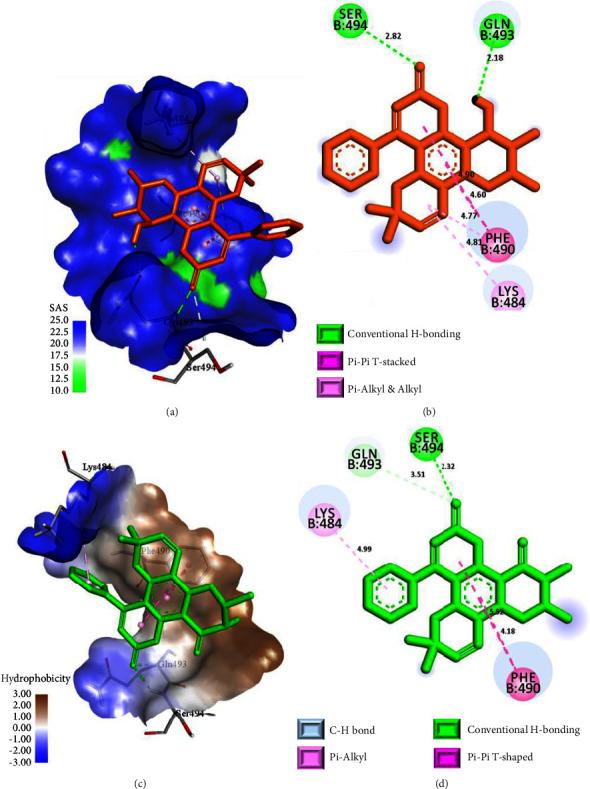 https://cdn.ncbi.nlm.nih.gov/pmc/blobs/1aff/11390206/623e60663d27/JTM2023-4771745.007.jpg