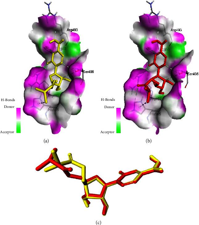 https://cdn.ncbi.nlm.nih.gov/pmc/blobs/1aff/11390206/7ef9e7f7707b/JTM2023-4771745.001.jpg