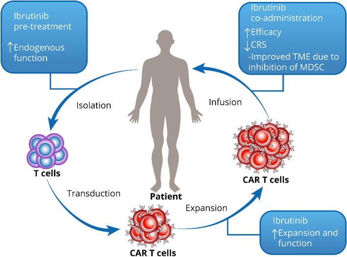 https://cdn.ncbi.nlm.nih.gov/pmc/blobs/1b00/11933223/d1af79c39cba/11523_2025_1133_Fig3_HTML.jpg