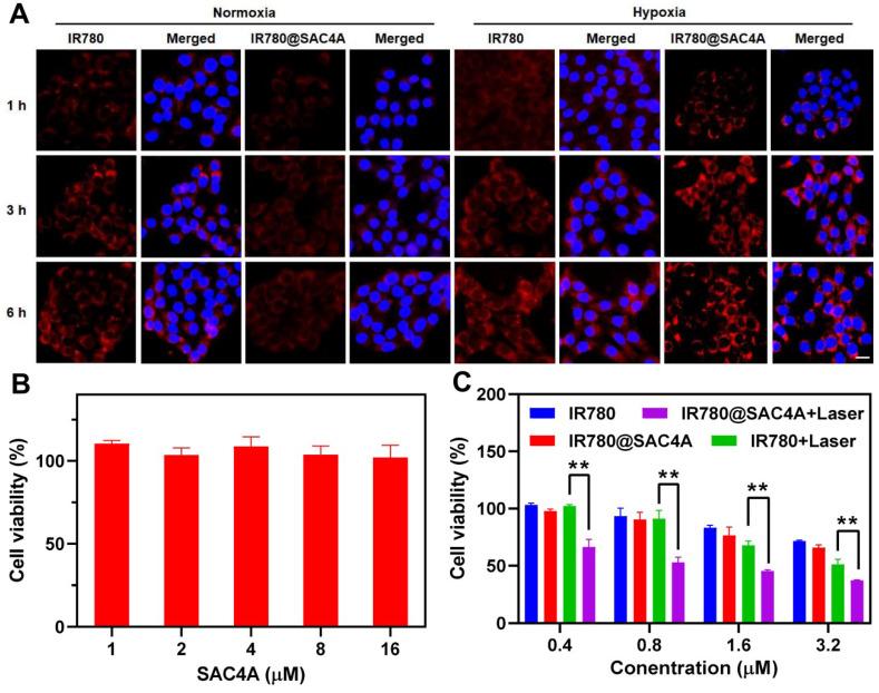https://cdn.ncbi.nlm.nih.gov/pmc/blobs/1b00/8690909/60ff2c4be571/thnov12p0396g004.jpg