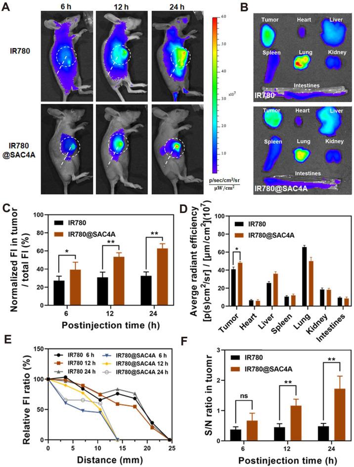 https://cdn.ncbi.nlm.nih.gov/pmc/blobs/1b00/8690909/7032845cfd79/thnov12p0396g005.jpg
