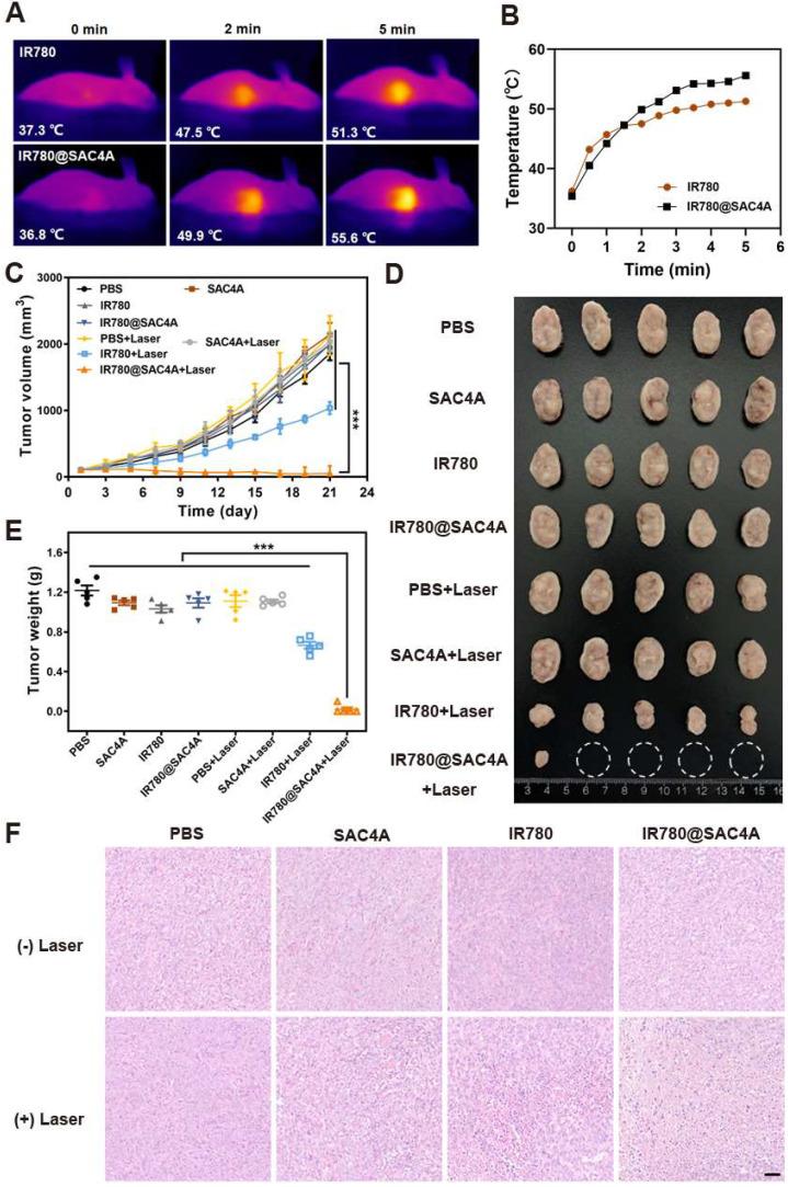 https://cdn.ncbi.nlm.nih.gov/pmc/blobs/1b00/8690909/d386673d8a43/thnov12p0396g006.jpg