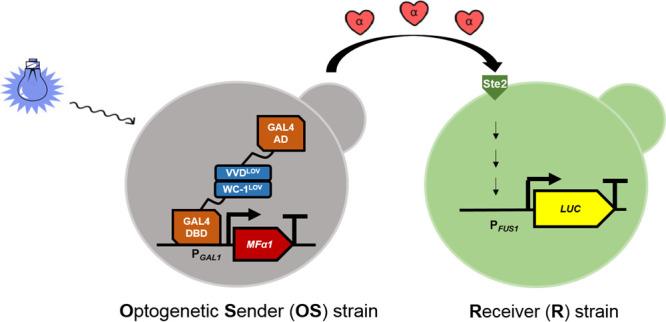 https://cdn.ncbi.nlm.nih.gov/pmc/blobs/1b01/9872819/0d3817d9d842/sb2c00338_0002.jpg
