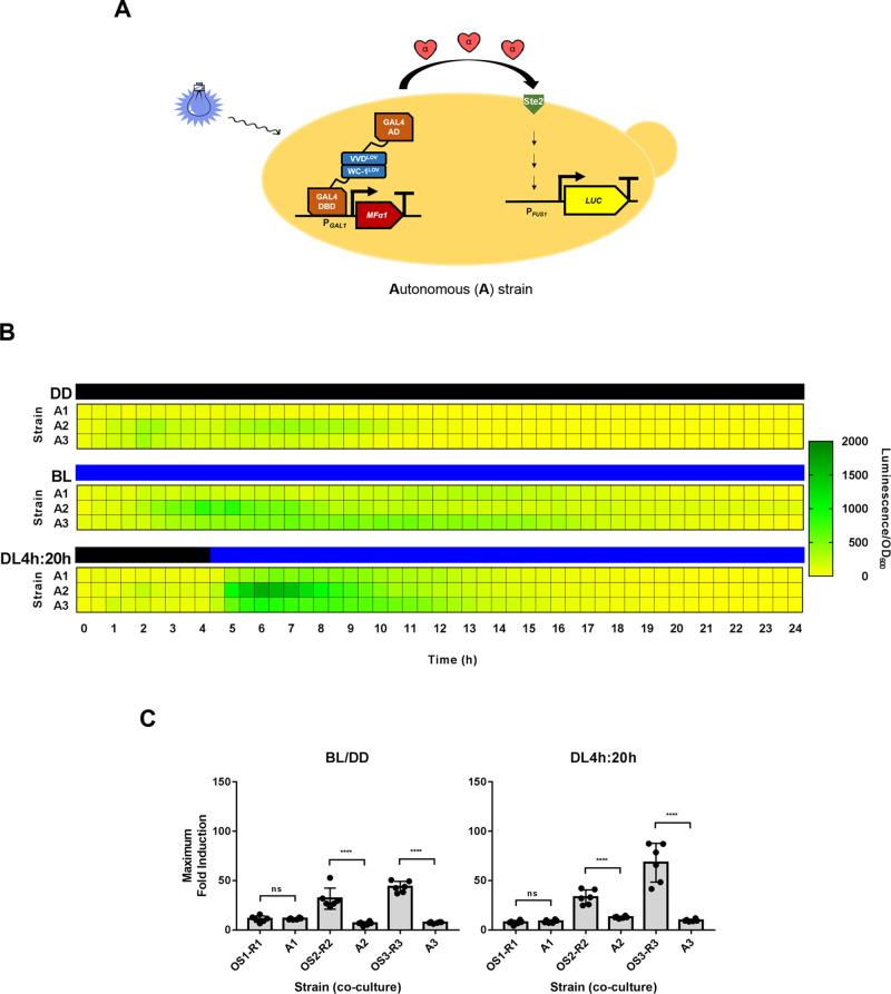 https://cdn.ncbi.nlm.nih.gov/pmc/blobs/1b01/9872819/76a2a2d03798/sb2c00338_0007.jpg