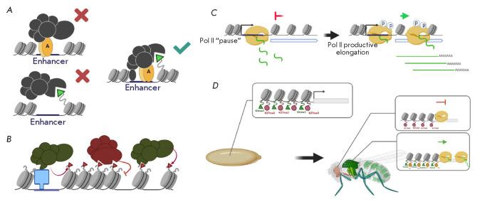 https://cdn.ncbi.nlm.nih.gov/pmc/blobs/1b02/8084290/fe61a13a6706/AN20758251-13-01-016-g005.jpg