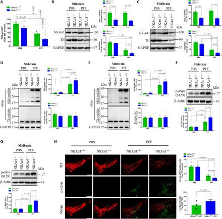 https://cdn.ncbi.nlm.nih.gov/pmc/blobs/1b05/7840131/08826f685a53/abc5062-F2.jpg