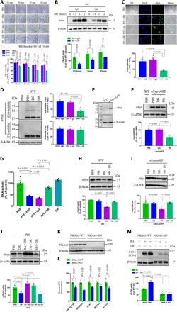 https://cdn.ncbi.nlm.nih.gov/pmc/blobs/1b05/7840131/2afab11203f8/abc5062-F5.jpg