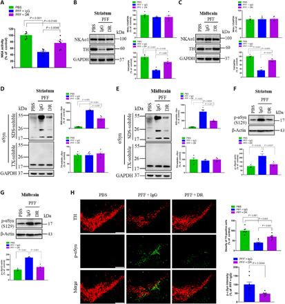 https://cdn.ncbi.nlm.nih.gov/pmc/blobs/1b05/7840131/de1835d775f0/abc5062-F4.jpg