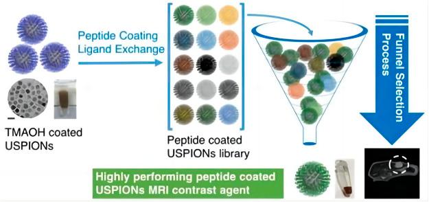 https://cdn.ncbi.nlm.nih.gov/pmc/blobs/1b06/10097929/b99dd8fa9ea0/fphar-14-1177068-g002.jpg