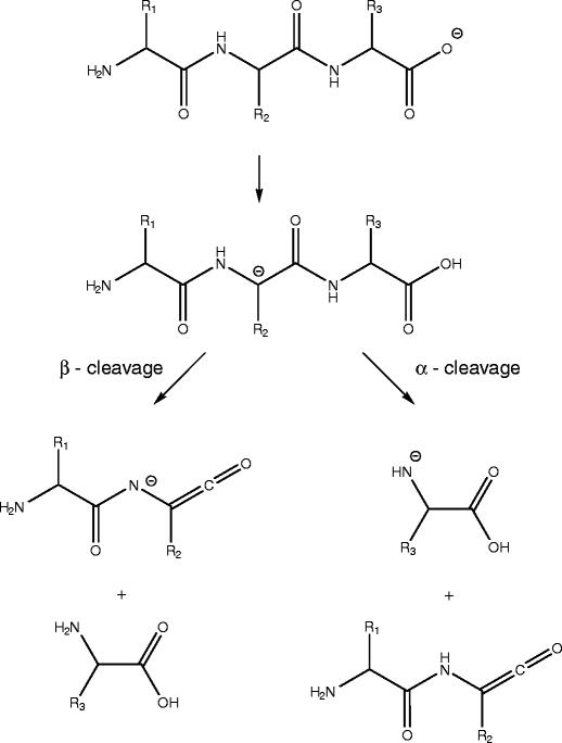 https://cdn.ncbi.nlm.nih.gov/pmc/blobs/1b06/3264858/4cf8bb07b1ee/13361_2011_297_Sch1_HTML.jpg