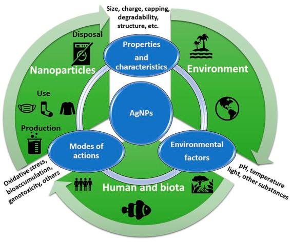 https://cdn.ncbi.nlm.nih.gov/pmc/blobs/1b06/8957934/a77fd6409ed0/fbioe-10-836742-g004.jpg