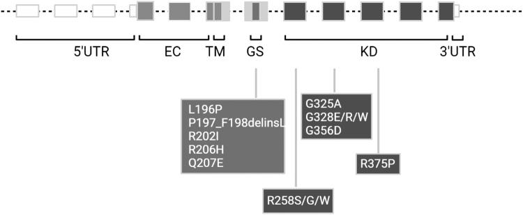 https://cdn.ncbi.nlm.nih.gov/pmc/blobs/1b07/9419966/cb1bdb8df6bb/hum.2022.023_figure2.jpg