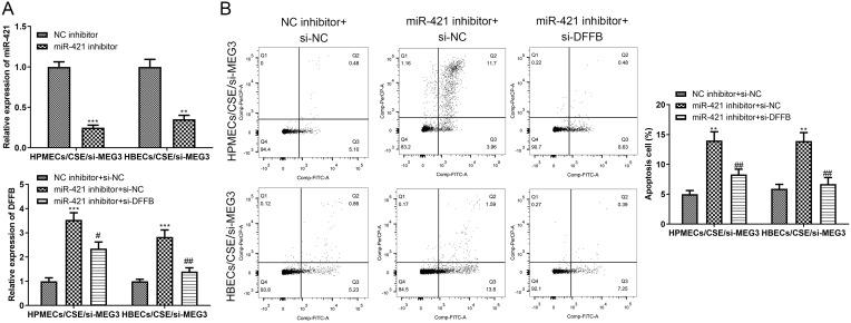 https://cdn.ncbi.nlm.nih.gov/pmc/blobs/1b0b/10198185/0f9bce35b414/COPD-18-859-g0007.jpg
