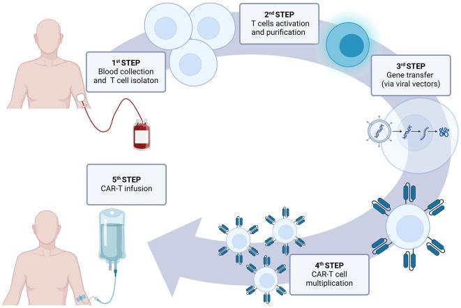 https://cdn.ncbi.nlm.nih.gov/pmc/blobs/1b0b/11980423/cce56264fd13/fmed-12-1550527-g0002.jpg
