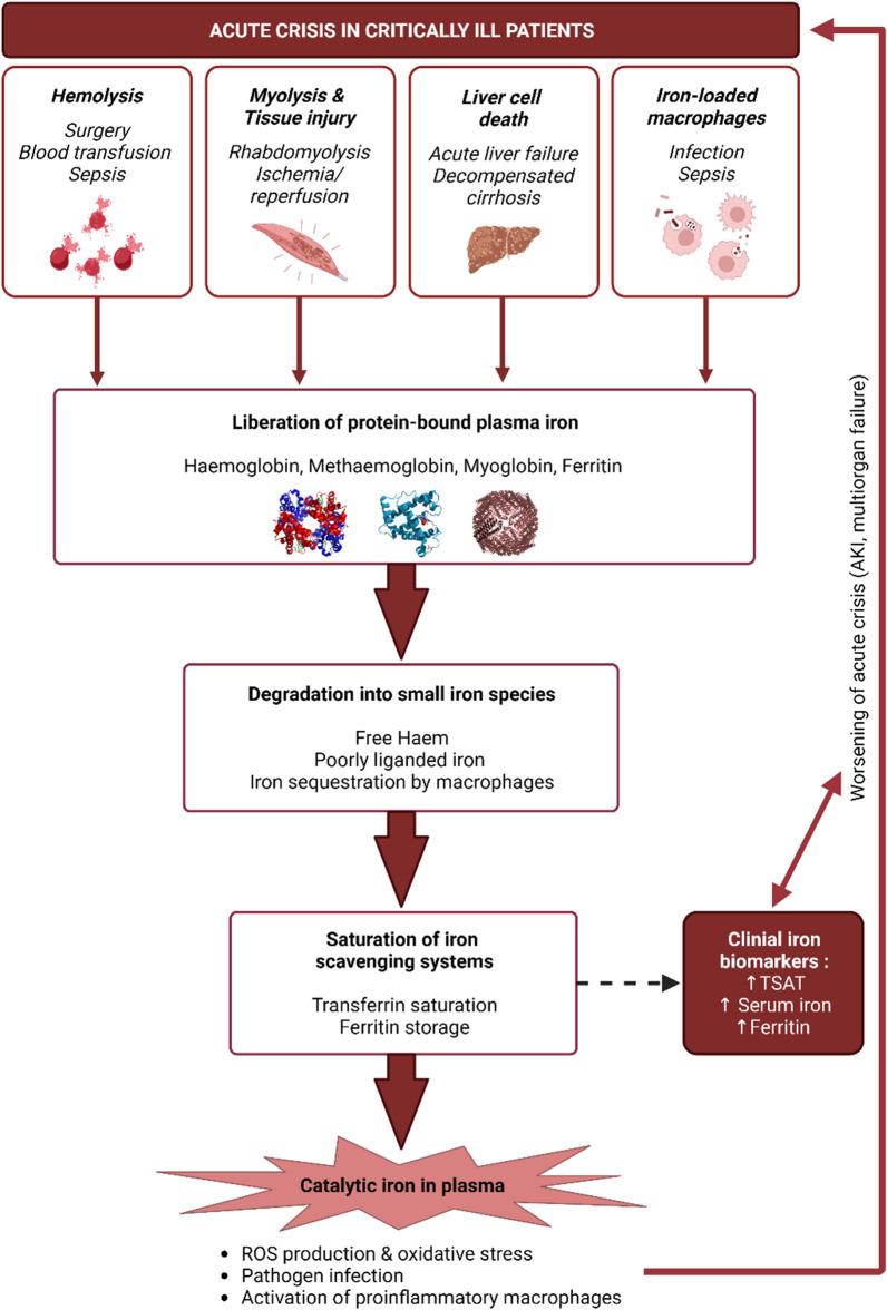 https://cdn.ncbi.nlm.nih.gov/pmc/blobs/1b0d/10694984/9e85f407cb93/13054_2023_4759_Fig3_HTML.jpg