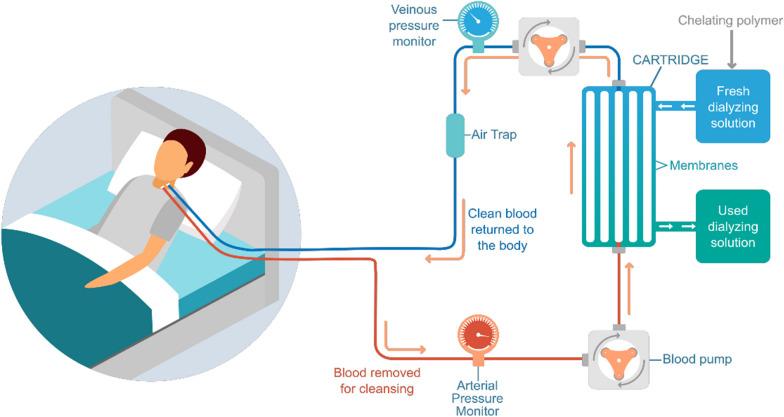 https://cdn.ncbi.nlm.nih.gov/pmc/blobs/1b0d/10694984/c9e2b0169bc3/13054_2023_4759_Fig4_HTML.jpg