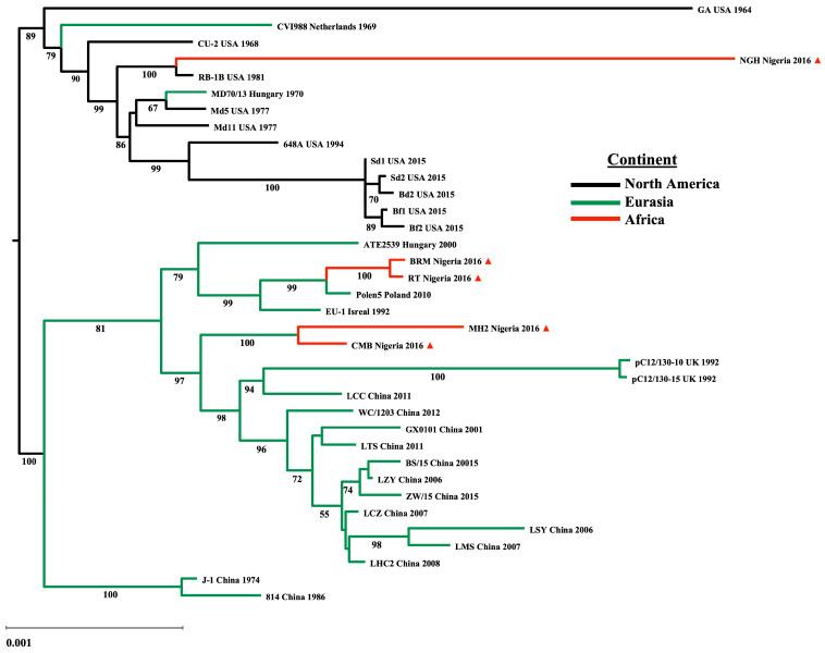 https://cdn.ncbi.nlm.nih.gov/pmc/blobs/1b0e/11769123/1dc2f5736314/viruses-17-00056-g001.jpg