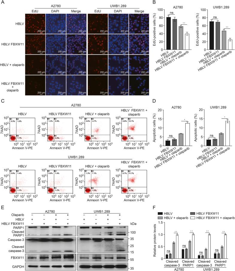 https://cdn.ncbi.nlm.nih.gov/pmc/blobs/1b0e/12311512/1d2e8cb083a6/gr4.jpg