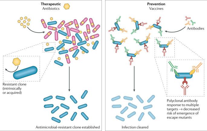 https://cdn.ncbi.nlm.nih.gov/pmc/blobs/1b0e/7861009/282da6636853/41579_2020_506_Fig2_HTML.jpg