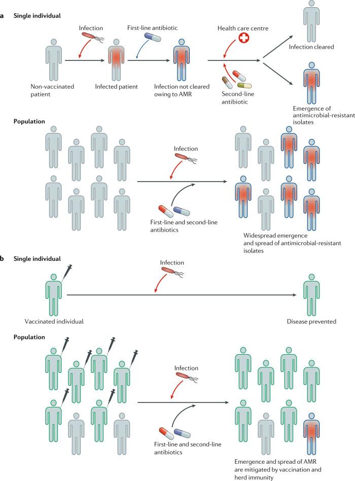https://cdn.ncbi.nlm.nih.gov/pmc/blobs/1b0e/7861009/6e4f0792fa64/41579_2020_506_Fig1_HTML.jpg