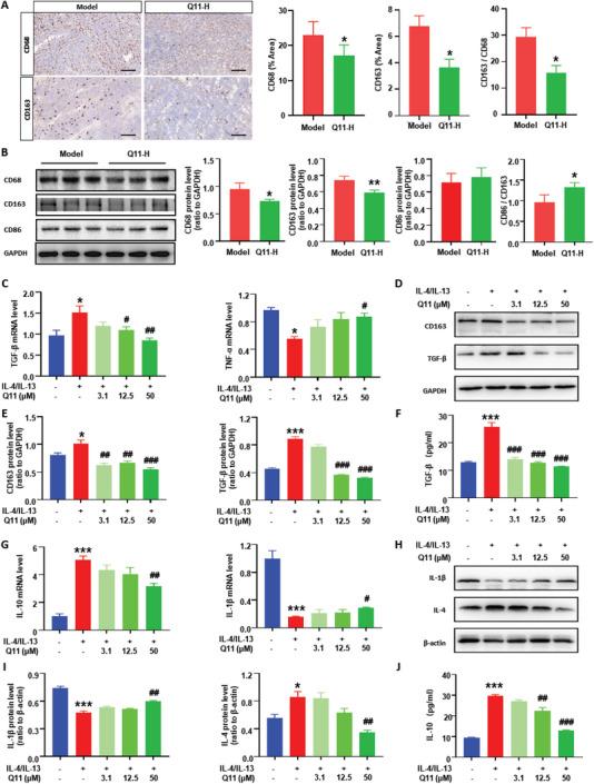https://cdn.ncbi.nlm.nih.gov/pmc/blobs/1b0f/10724398/089304997bc1/ADVS-10-2303975-g007.jpg