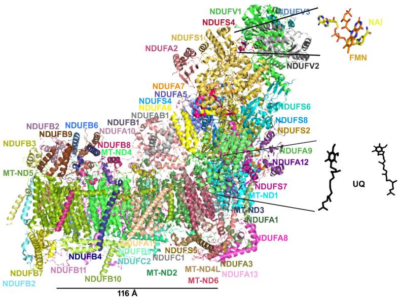 https://cdn.ncbi.nlm.nih.gov/pmc/blobs/1b10/9182050/8c7c739026b1/molecules-27-03494-g004.jpg