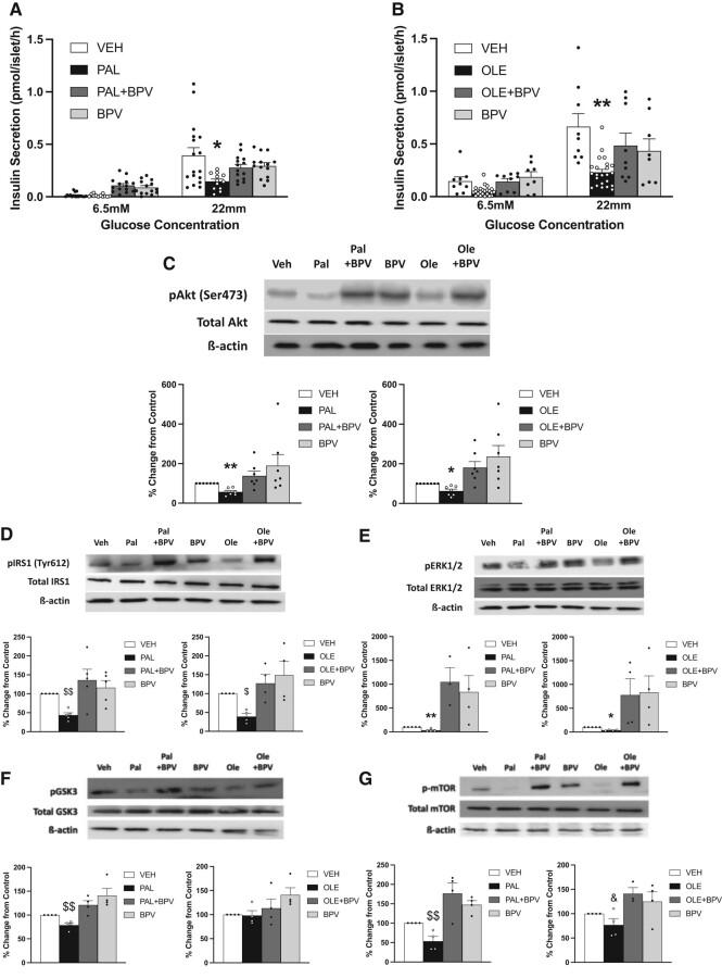 https://cdn.ncbi.nlm.nih.gov/pmc/blobs/1b13/11033845/b5058ddab809/bqae044f5.jpg