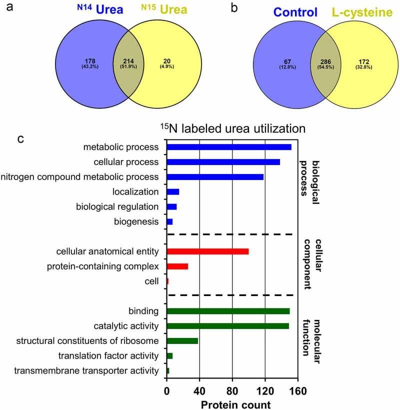 https://cdn.ncbi.nlm.nih.gov/pmc/blobs/1b15/10054289/55bd8d4bf6f6/KGMI_A_2192546_F0004_OC.jpg