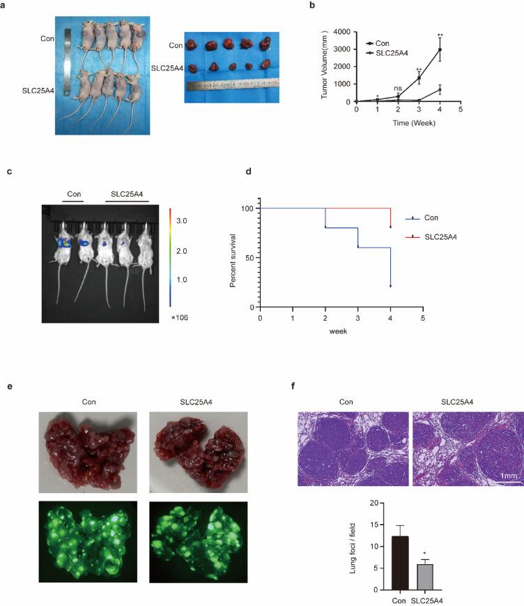 https://cdn.ncbi.nlm.nih.gov/pmc/blobs/1b15/12141529/18df815976b4/41598_2025_3102_Fig7_HTML.jpg
