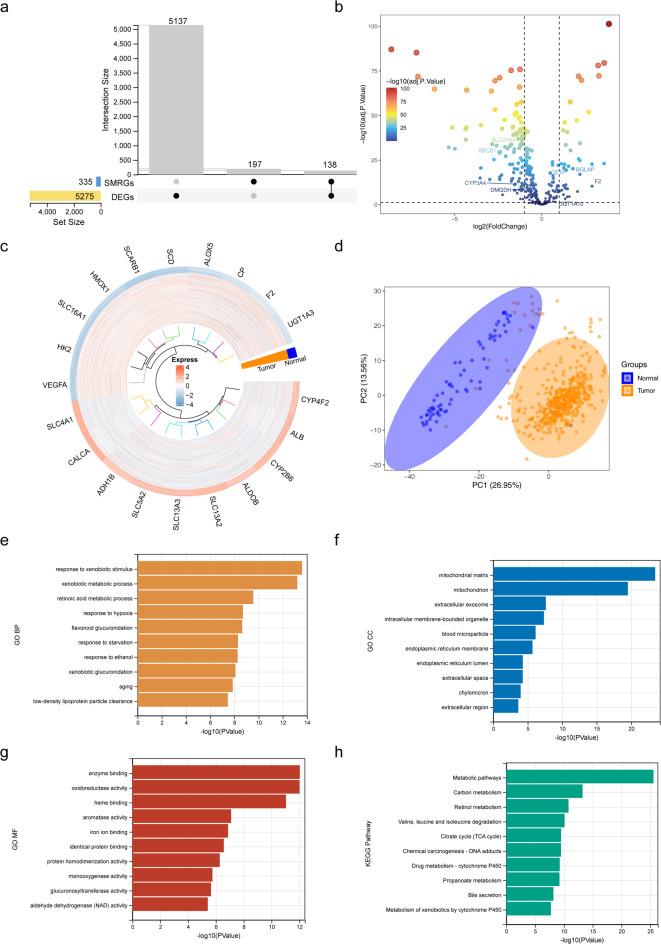 https://cdn.ncbi.nlm.nih.gov/pmc/blobs/1b15/12141529/d808b5eccdd3/41598_2025_3102_Fig1_HTML.jpg