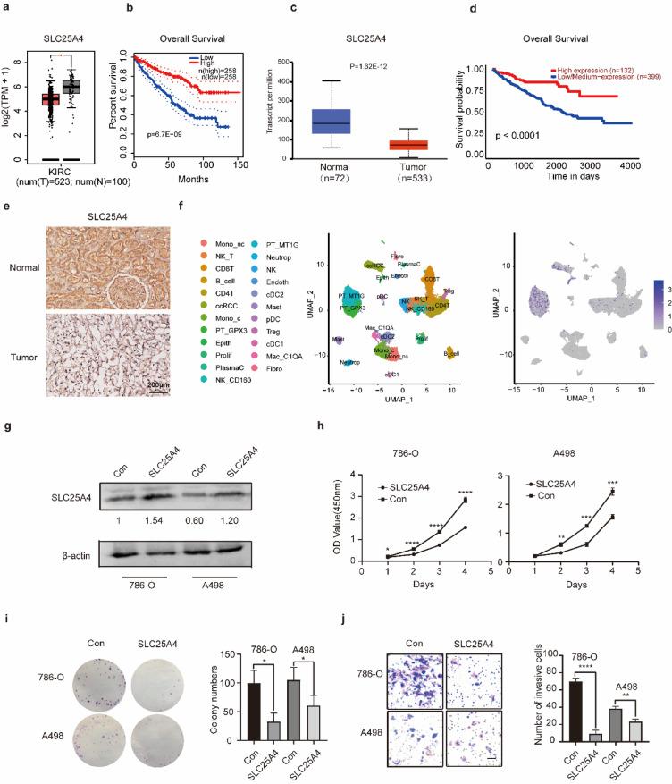 https://cdn.ncbi.nlm.nih.gov/pmc/blobs/1b15/12141529/fa87fdf168da/41598_2025_3102_Fig6_HTML.jpg