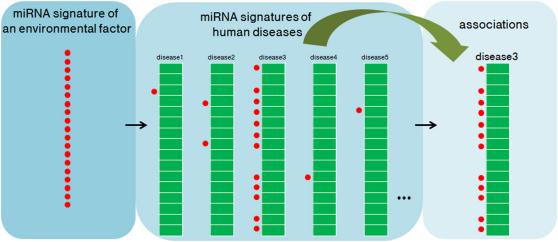 https://cdn.ncbi.nlm.nih.gov/pmc/blobs/1b15/3306023/ab93ff390da0/srep00318-f4.jpg