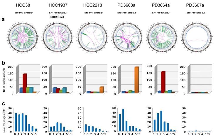 https://cdn.ncbi.nlm.nih.gov/pmc/blobs/1b16/3398135/9e51a466832e/ukmss-28075-f0001.jpg