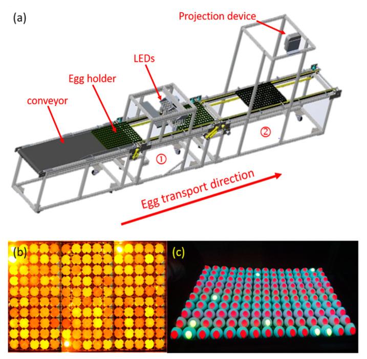 https://cdn.ncbi.nlm.nih.gov/pmc/blobs/1b16/7589749/4d0884f78a6d/sensors-20-05951-g002.jpg