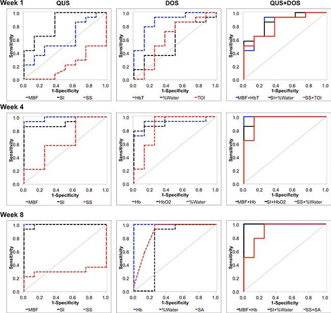 https://cdn.ncbi.nlm.nih.gov/pmc/blobs/1b18/4991417/73ee2a981603/oncotarget-07-19762-g006.jpg