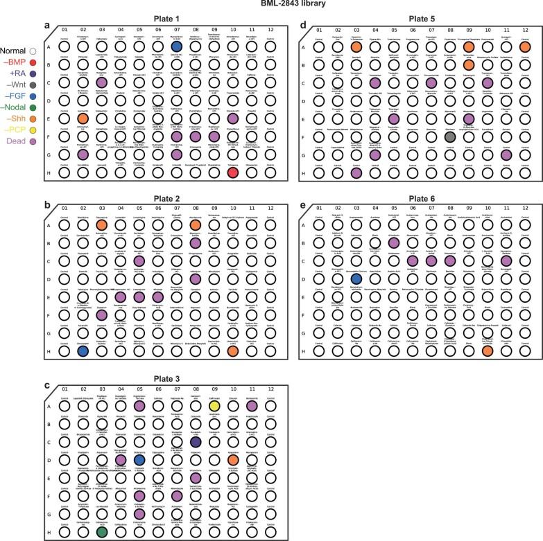 https://cdn.ncbi.nlm.nih.gov/pmc/blobs/1b19/10250202/225d717d8bdb/41592_2023_1873_Fig12_ESM.jpg