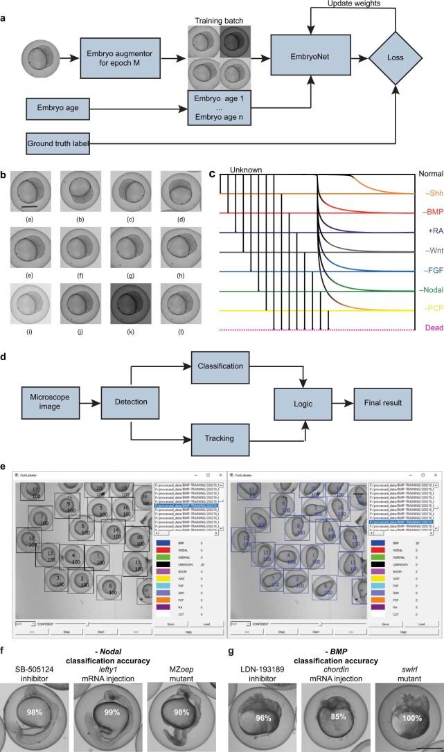 https://cdn.ncbi.nlm.nih.gov/pmc/blobs/1b19/10250202/5b98d48bdb84/41592_2023_1873_Fig5_ESM.jpg