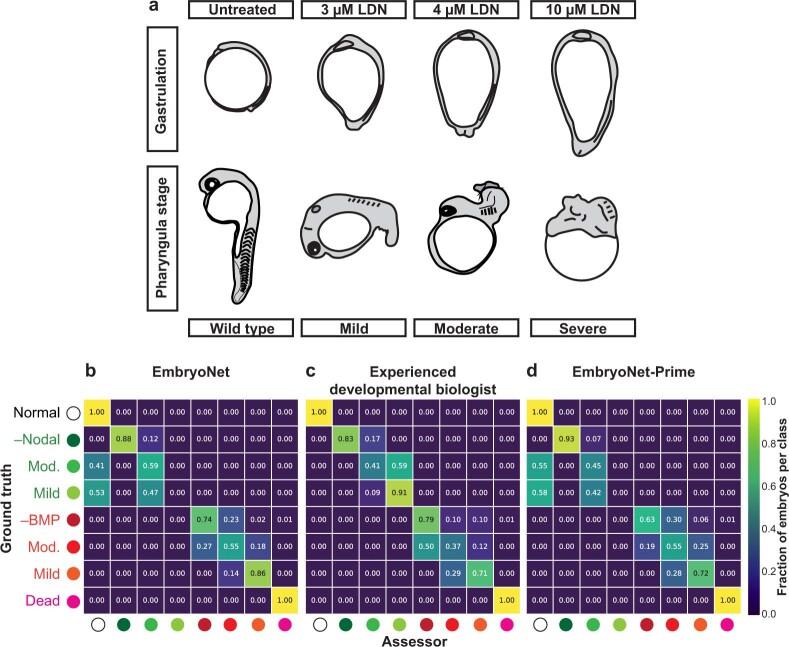 https://cdn.ncbi.nlm.nih.gov/pmc/blobs/1b19/10250202/8690b48df56f/41592_2023_1873_Fig9_ESM.jpg