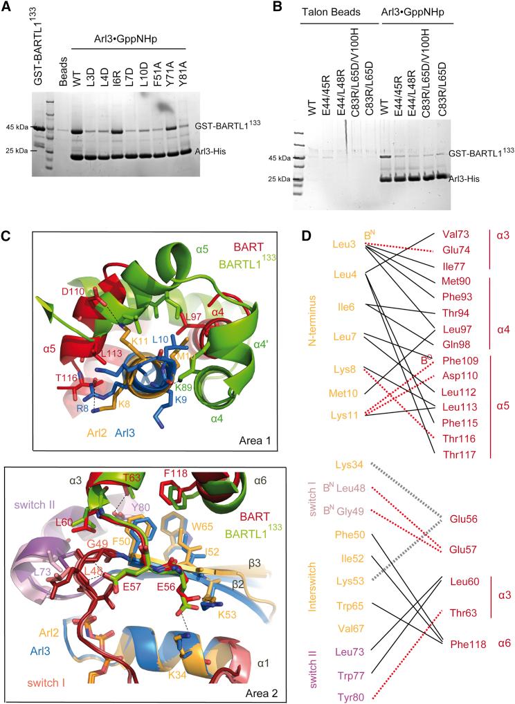 https://cdn.ncbi.nlm.nih.gov/pmc/blobs/1b1c/4635315/d737e0c07fd7/gr5.jpg