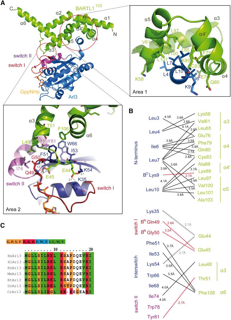 https://cdn.ncbi.nlm.nih.gov/pmc/blobs/1b1c/4635315/f38c97d58984/gr4.jpg