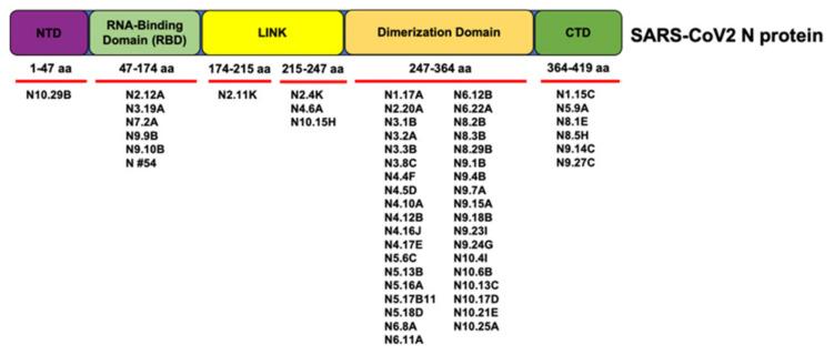 https://cdn.ncbi.nlm.nih.gov/pmc/blobs/1b1d/8537396/2fc79b34f2a6/viruses-13-01899-g003.jpg
