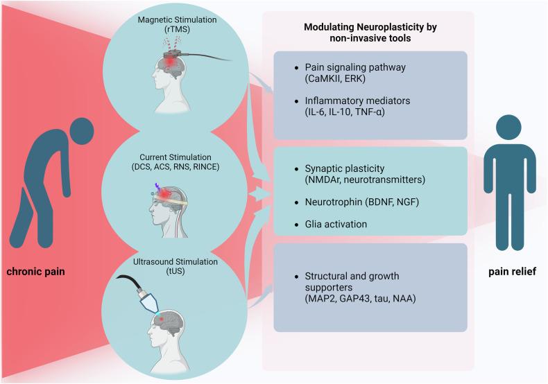 https://cdn.ncbi.nlm.nih.gov/pmc/blobs/1b1f/11958754/d9a23db2eeb3/12276_2025_1409_Fig3_HTML.jpg