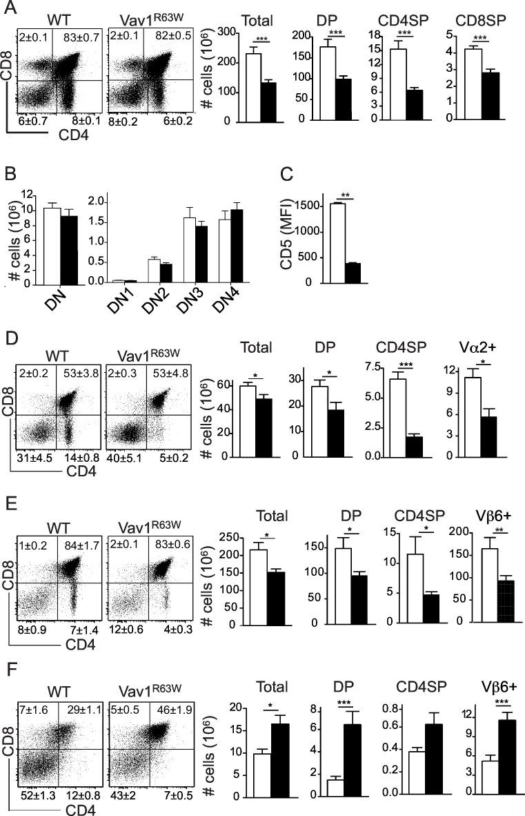 https://cdn.ncbi.nlm.nih.gov/pmc/blobs/1b20/4954684/daecd16794c1/pgen.1006185.g001.jpg