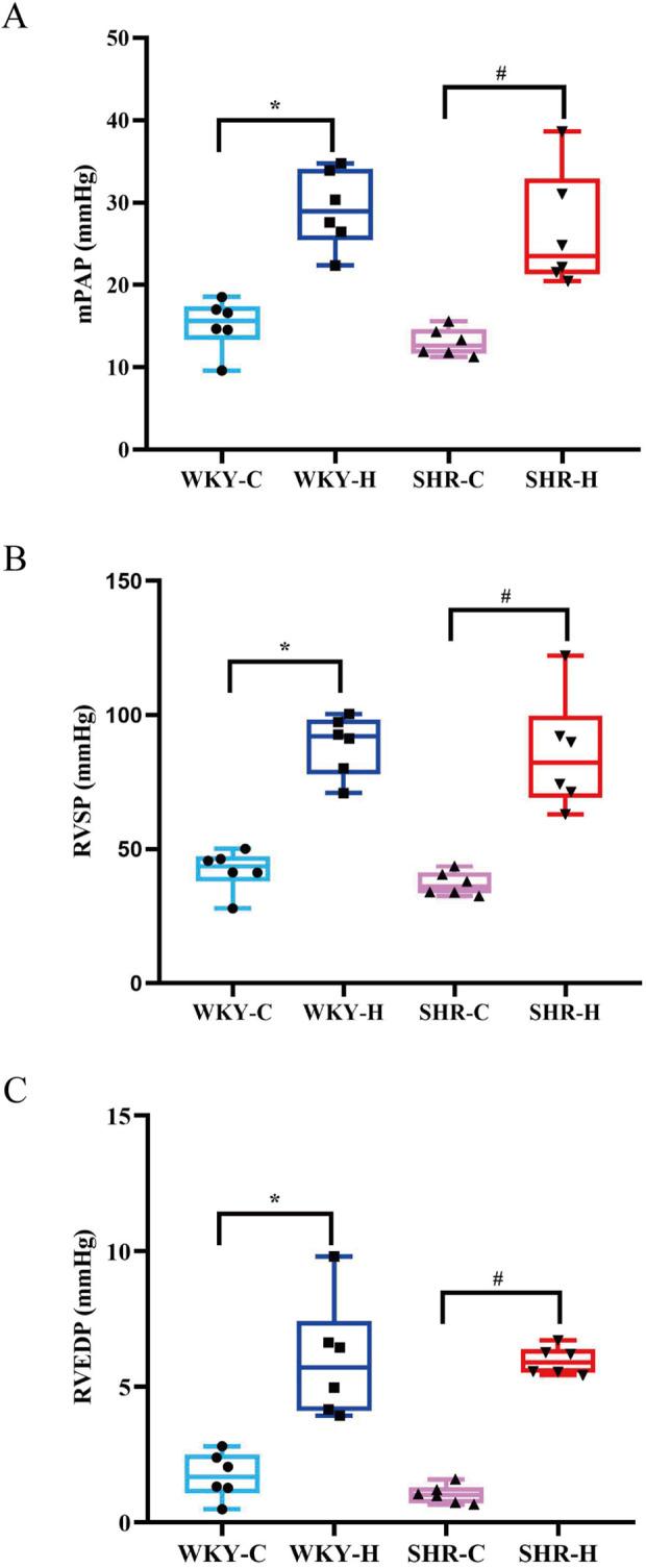 https://cdn.ncbi.nlm.nih.gov/pmc/blobs/1b23/12037635/f36cf1092135/fphys-16-1565147-g003.jpg