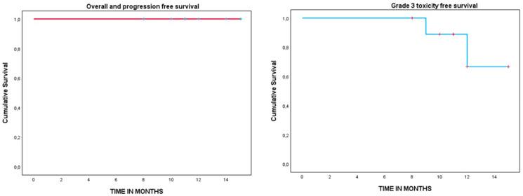 https://cdn.ncbi.nlm.nih.gov/pmc/blobs/1b26/10705113/d93d0175d48a/cancers-15-05579-g002.jpg