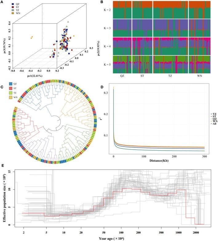 https://cdn.ncbi.nlm.nih.gov/pmc/blobs/1b27/12406289/a1d2d6f752bf/EVA-18-e70153-g001.jpg
