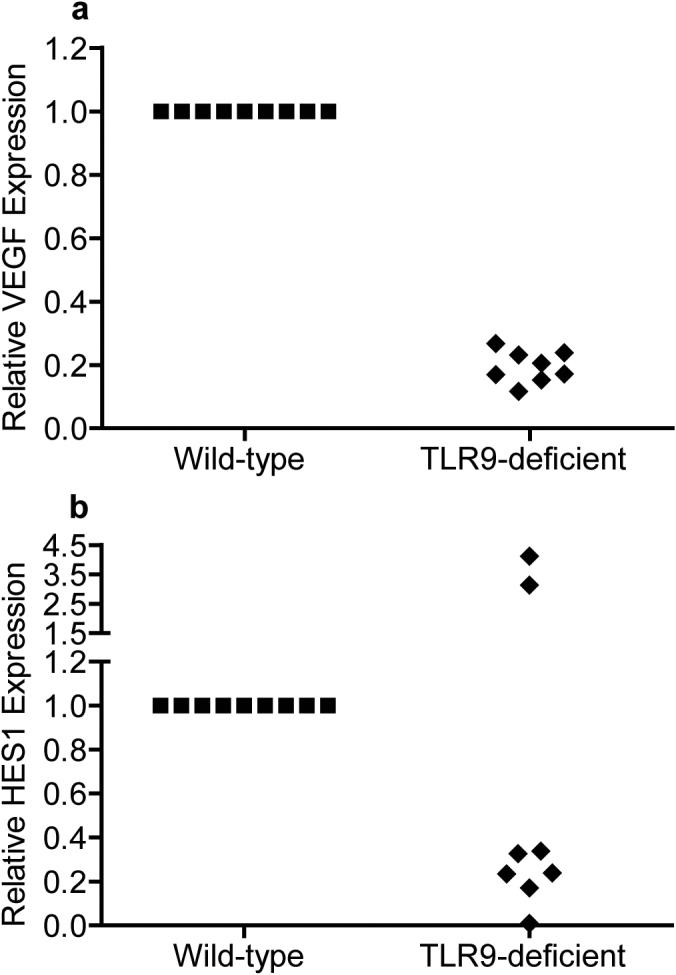 https://cdn.ncbi.nlm.nih.gov/pmc/blobs/1b27/3418518/51e489adedd5/srep00574-f5.jpg