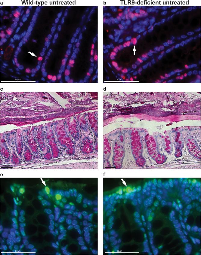 https://cdn.ncbi.nlm.nih.gov/pmc/blobs/1b27/3418518/960564f0e170/srep00574-f4.jpg