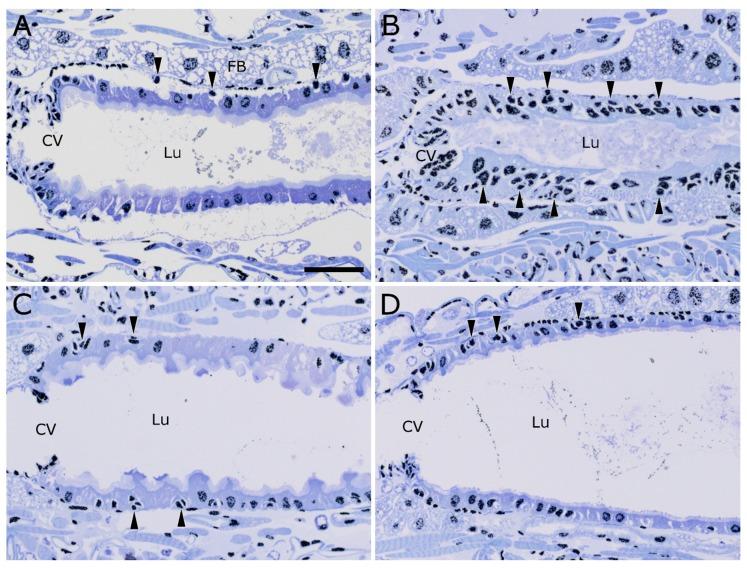 https://cdn.ncbi.nlm.nih.gov/pmc/blobs/1b2a/5450704/55da247392ef/toxins-09-00156-g004.jpg